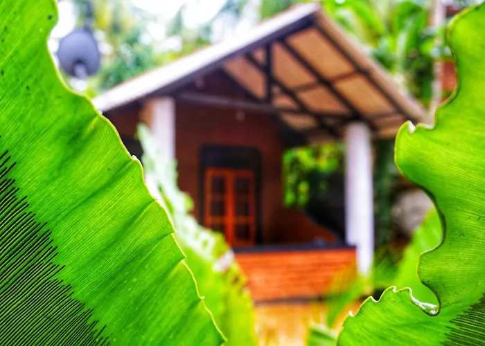 Osheen Homestay Sigiriya