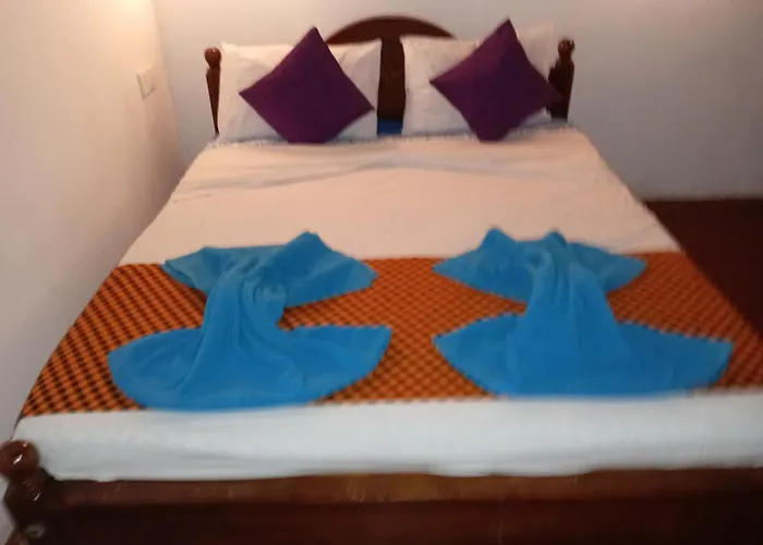 Osheen Homestay Sigiriya